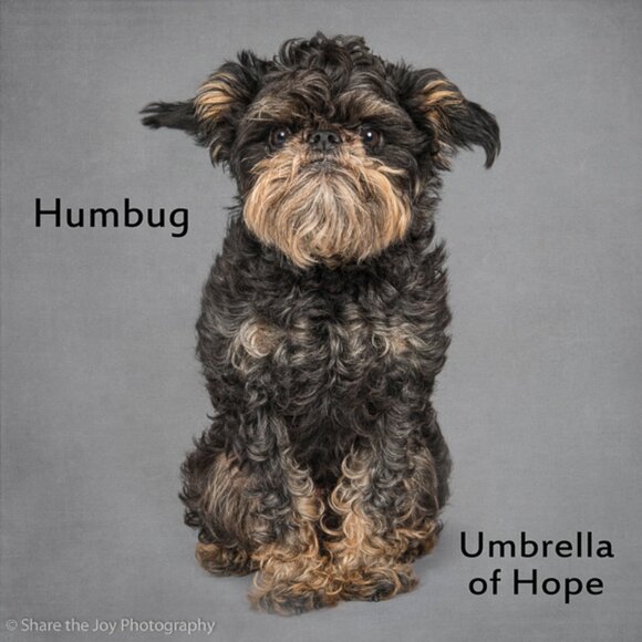 85% of textiles = 92 millions TONS a YEAR = LANDFILL. Let's Change That! - Picture 8 of 12